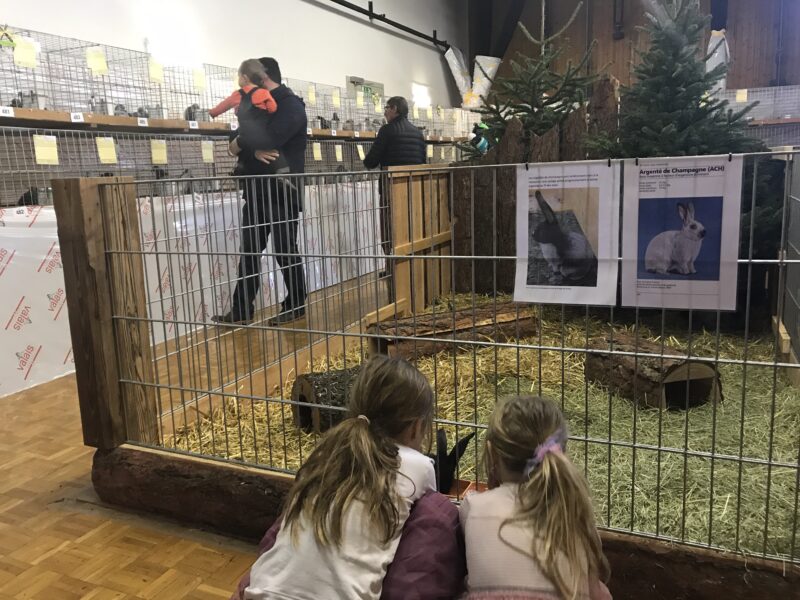 Exposition valaisanne des petits animaux