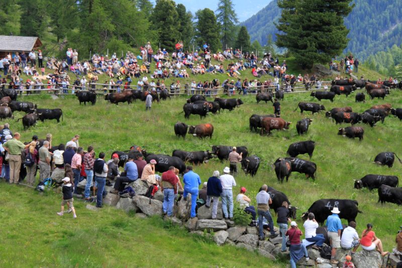 Inalpe de Tortin