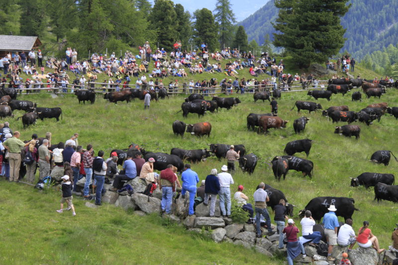 Inalpe de Siviez