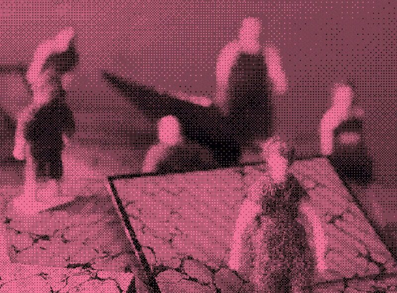 Les cygnes noirs - théâtre avec les Niaiseuses